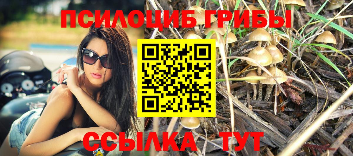 Псилоцибиновые грибы ЛСД Шахты