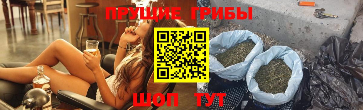 Псилоцибиновые грибы Magic Shrooms  Галлюциногенные грибы GOLDEN TEACHER  Шахты  Вход с VPN 