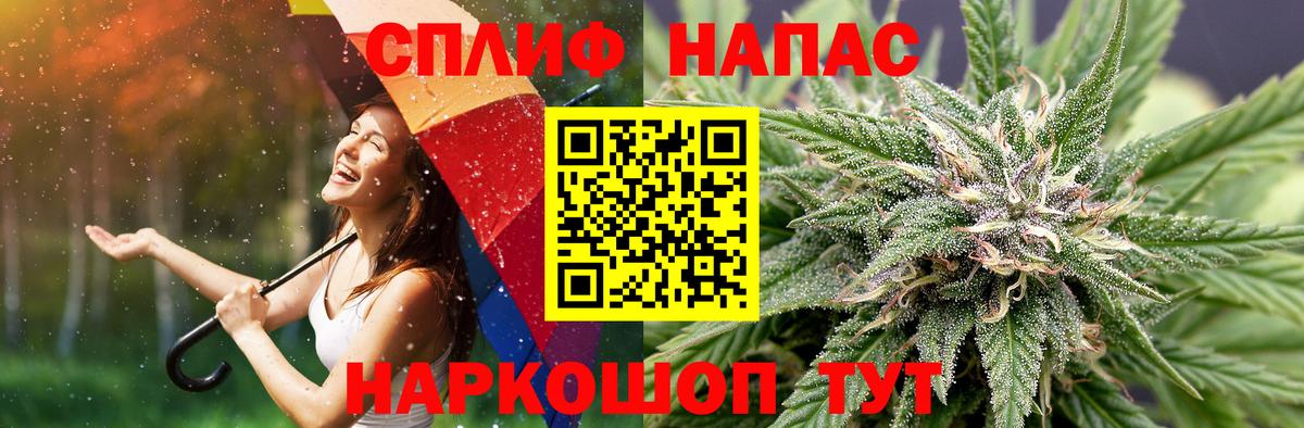 Канабис гибрид Шахты